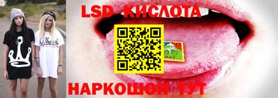прущие грибы Рязань