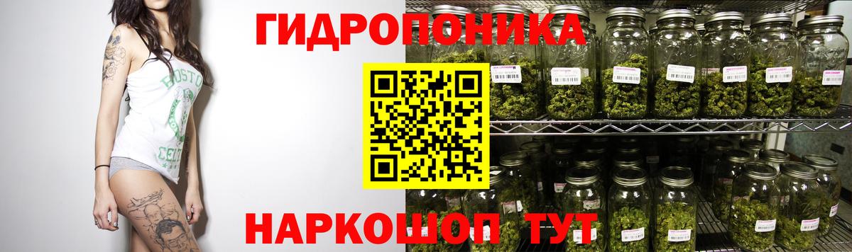 Каннабис план Курган